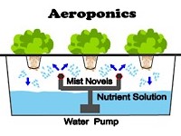 سیستم ایروپونیک (Aeroponics)