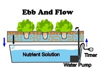 سیستم جزر و مدی (Ebb & Flow)
