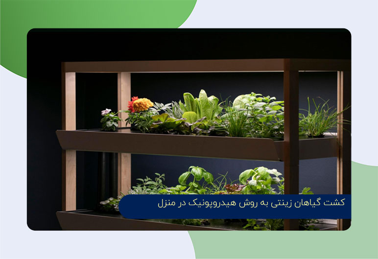 1- کشت گیاهان زینتی به روش هیدروپونیک در منزل 