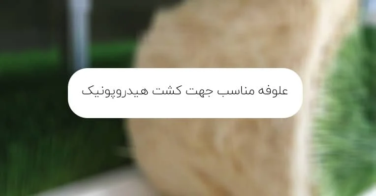 4 علوفه مناسب برای کشت هیدروپونیک