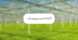 گلخانه هیدروپونیک