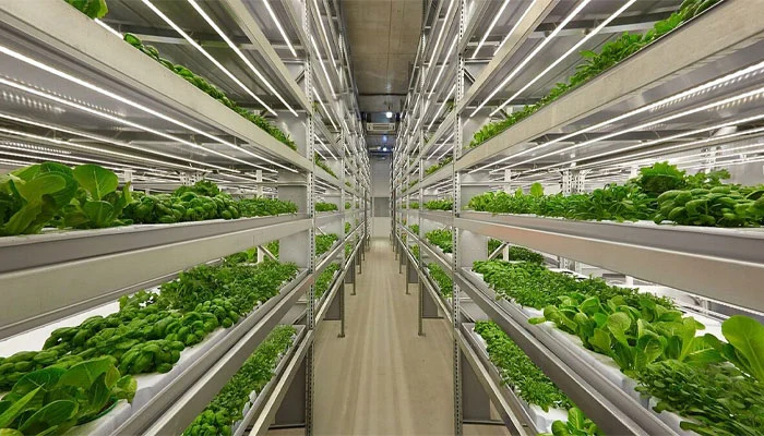 گلخانه عمودی