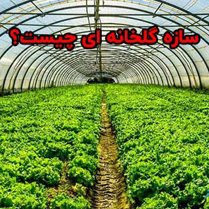 سازه گلخانه ای چیست