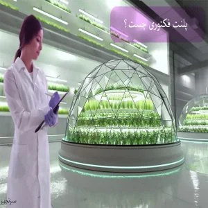 پلنت فکتوری چیست؟