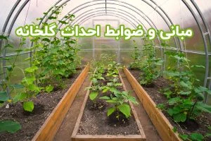 مبانی و ضوابط احداث گلخانه
