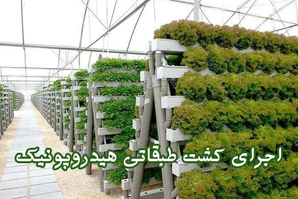 کشت طبقاتی هیدروپونیک