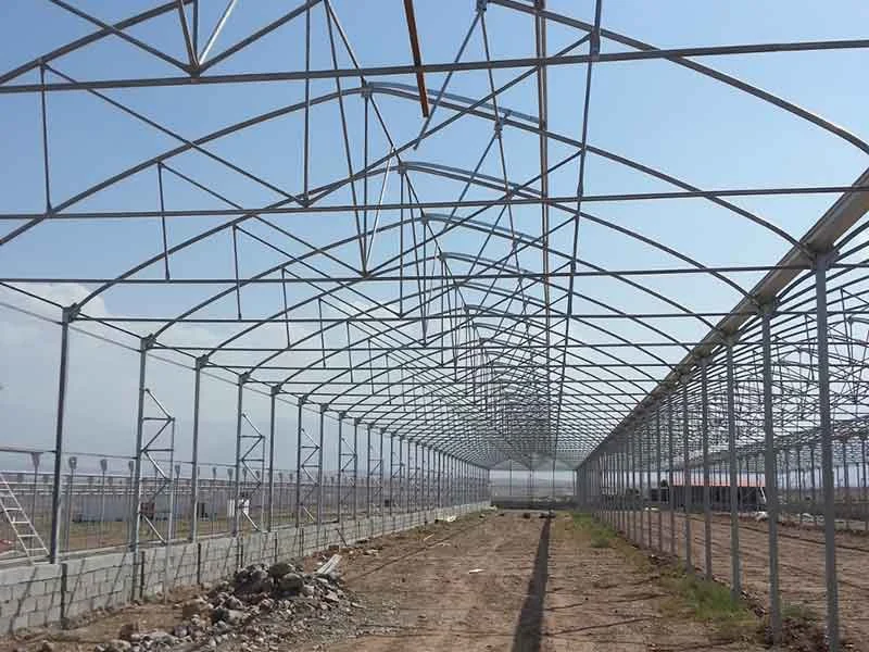 سازه گلخانه