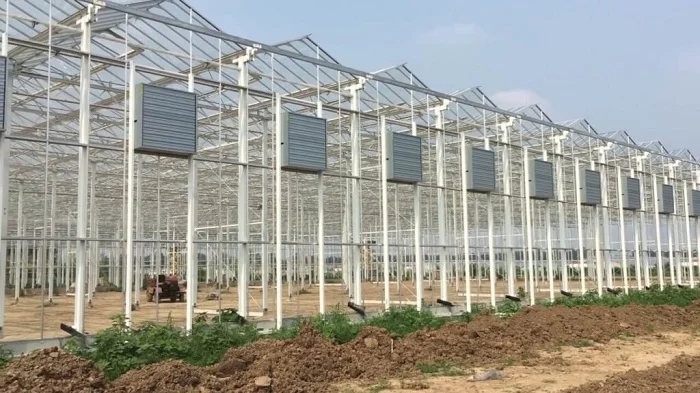 سازه گلخانه