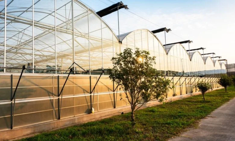 سازه گلخانه