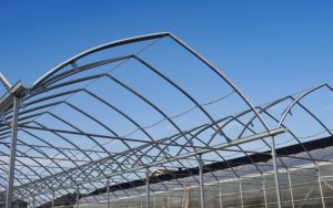 گلخانه اووال گاتیک