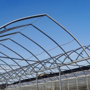 گلخانه اووال گاتیک