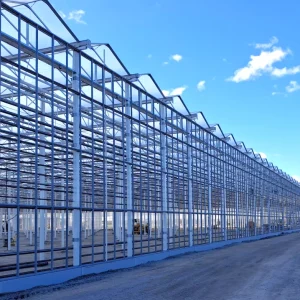 greenhouse-venlo