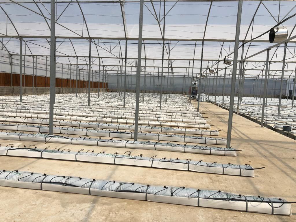 سازه گلخانه اسپانیایی سیرکولار - سبز تجهیز