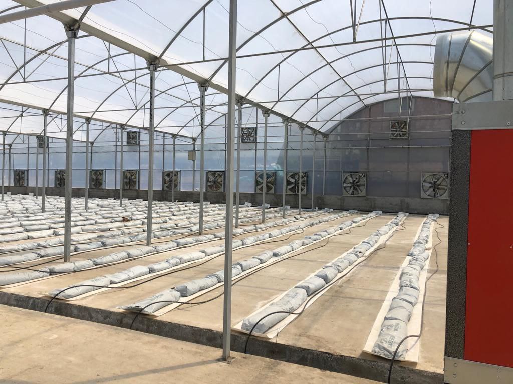 سازه گلخانه اسپانیایی سیرکولار - سبز تجهیز