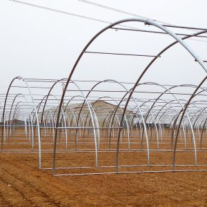 سازه گلخانه تونلی