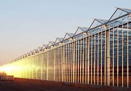 سازه گلخانه شیشه ای ونلو